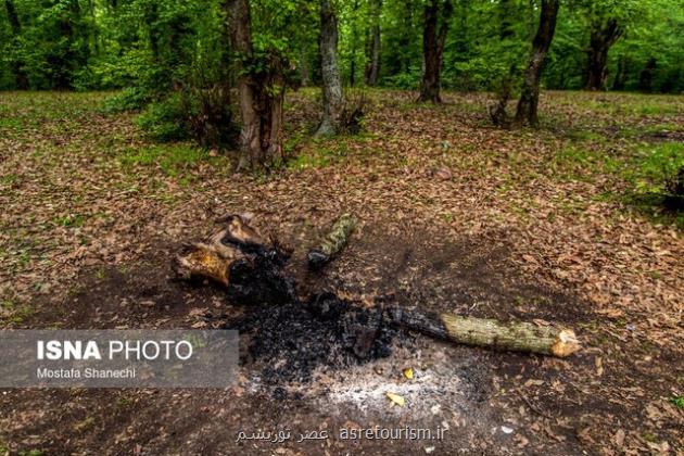سیزده بدر از جشن طبیعت تا چالش های زیست محیطی