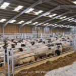 اعلام قیمت قربانی حج 1405