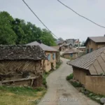 شانه تراش الگویی از پیوند هویت و توسعه در راه جهانی شدن