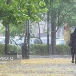پیشبینی بارندگی های پاییزی تهران لایروبی کانال ها و مسیل ها در دستور کار شهرداری